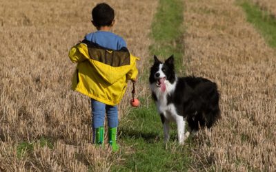 Perros: mejores aliados para el desarrollo socioemocional de los más pequeños